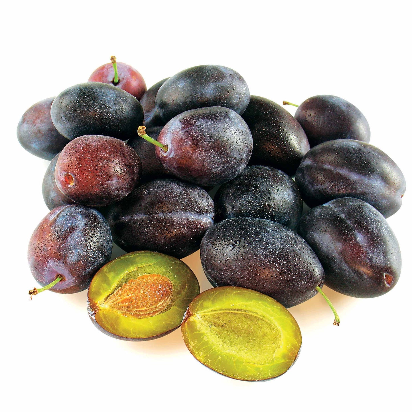 Prunier Quetsche D'Alsace