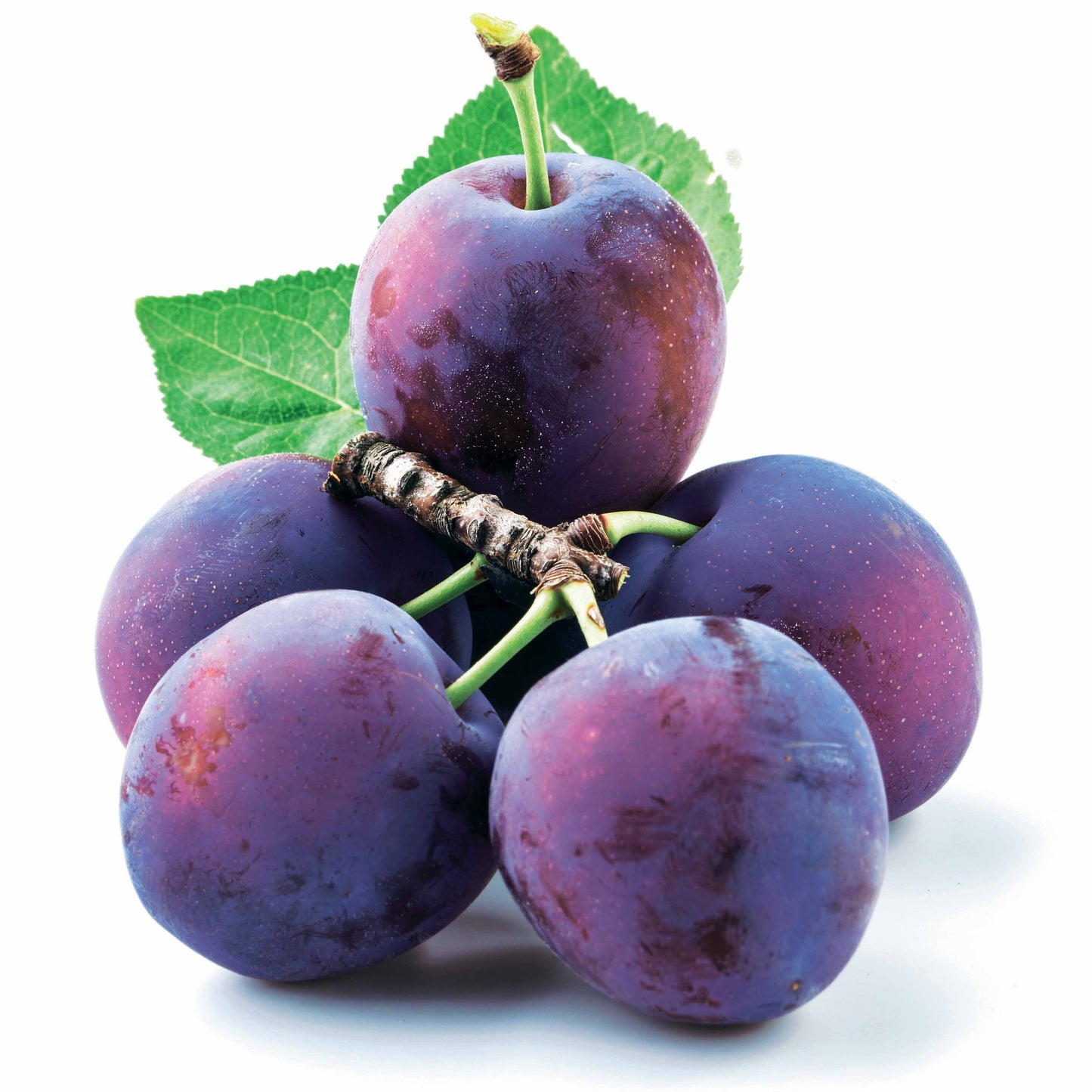 Prune Reine Claude D'Althan