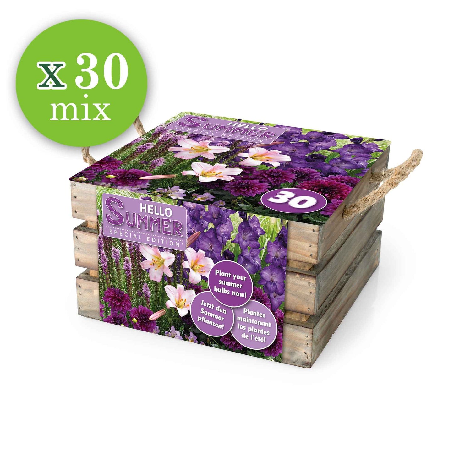 30 Bulbes De Fleurs Hello Summer En Mélange